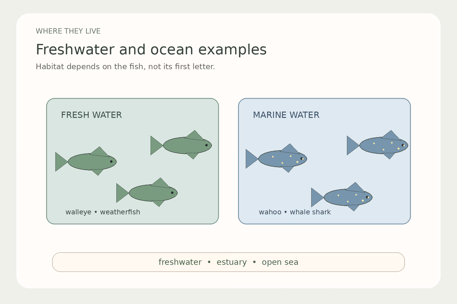 A simple habitat chart groups example W fishes by ocean, freshwater, or both environments.