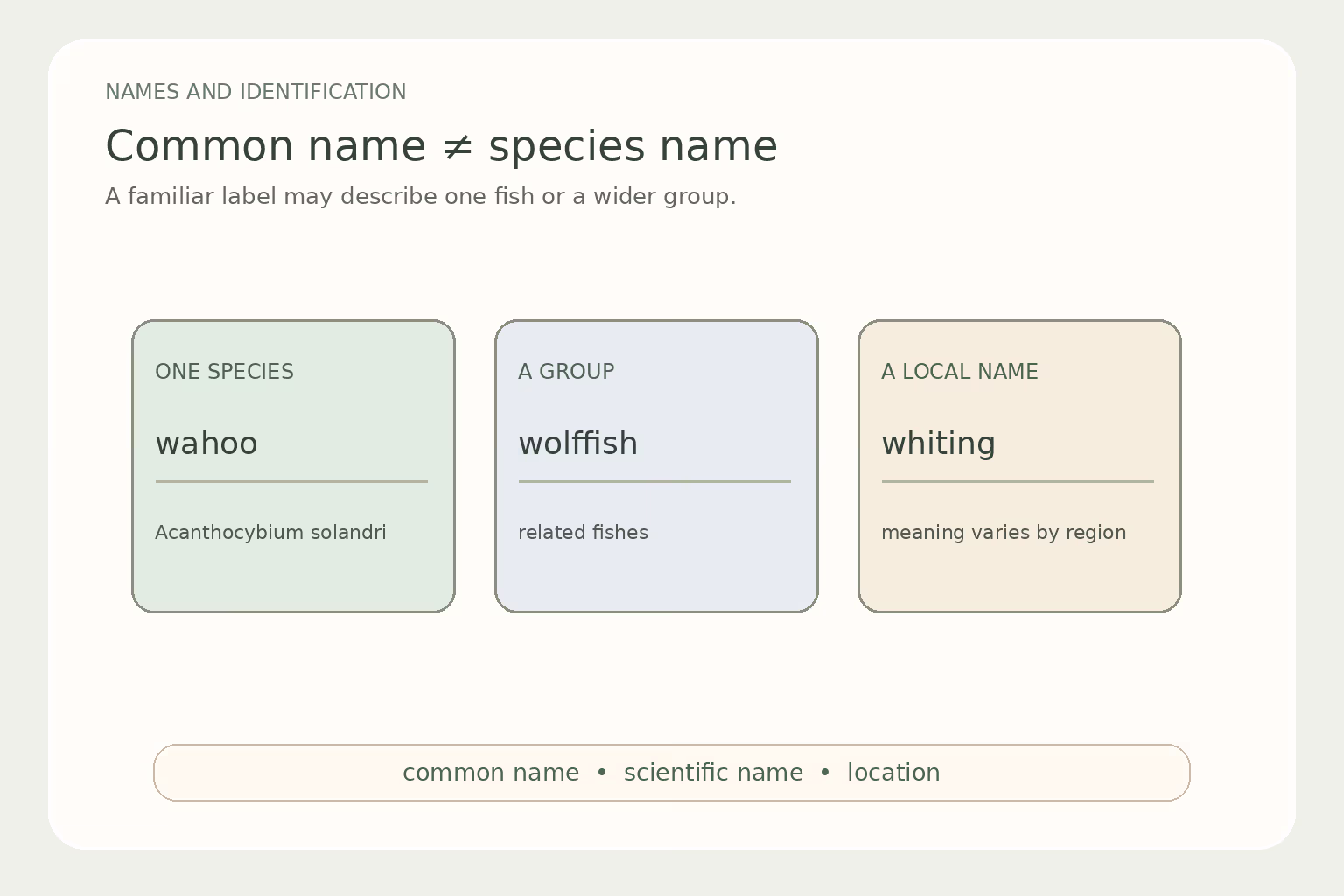 A reference diagram shows that common fish names can label a species, a genus, or a broader group.