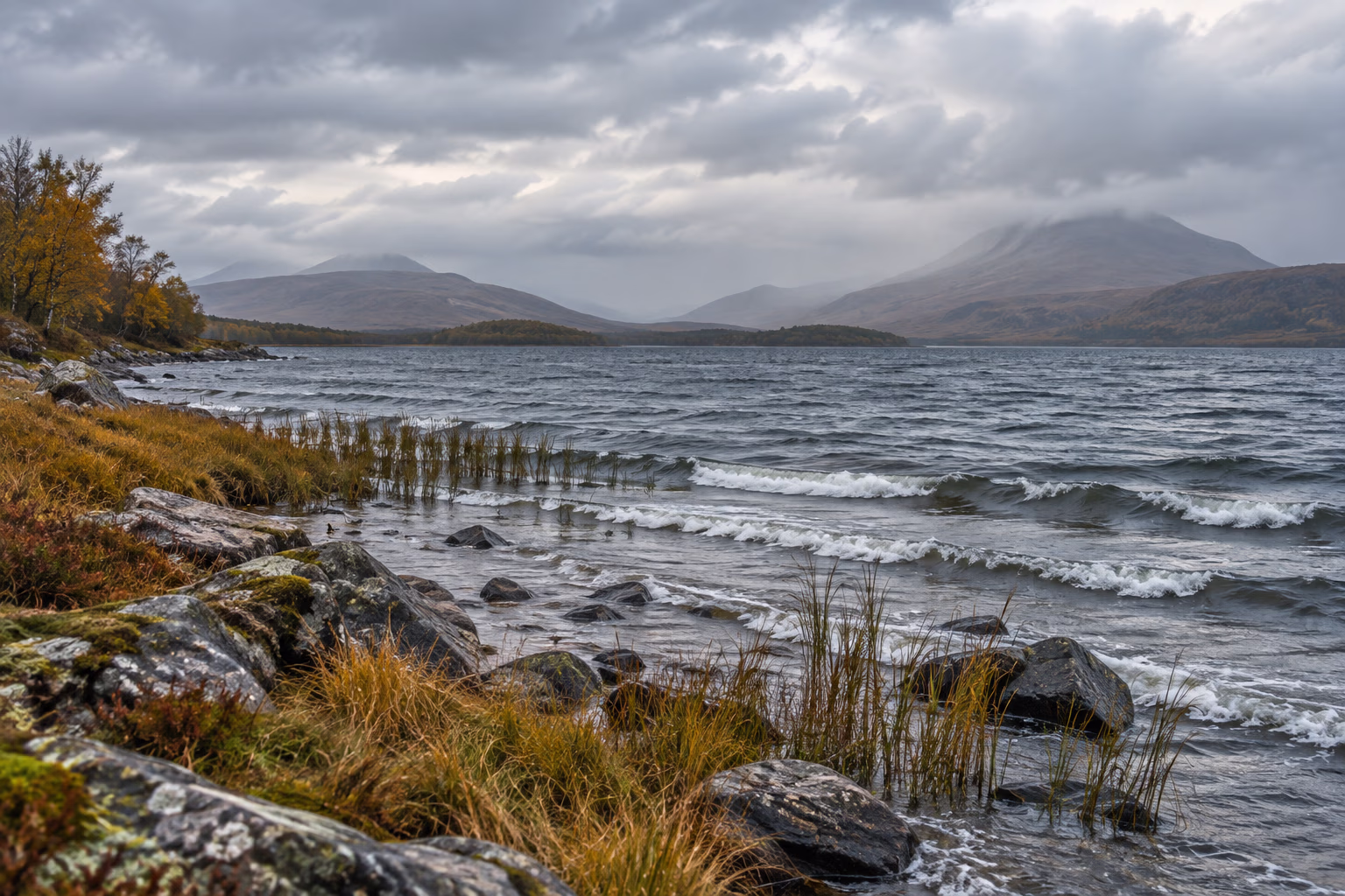 A windswept lake has small waves below cloudy skies and a rocky, reedy shore