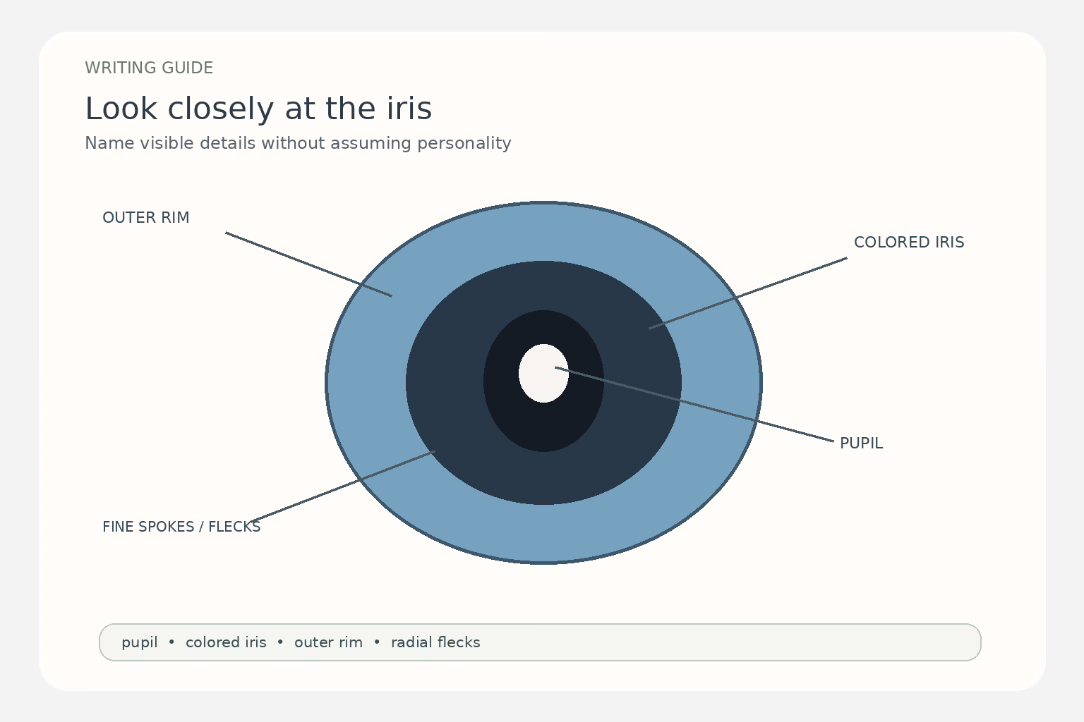 An illustrated blue iris labels the pupil, colored iris, outer rim, and fine spokes or flecks.