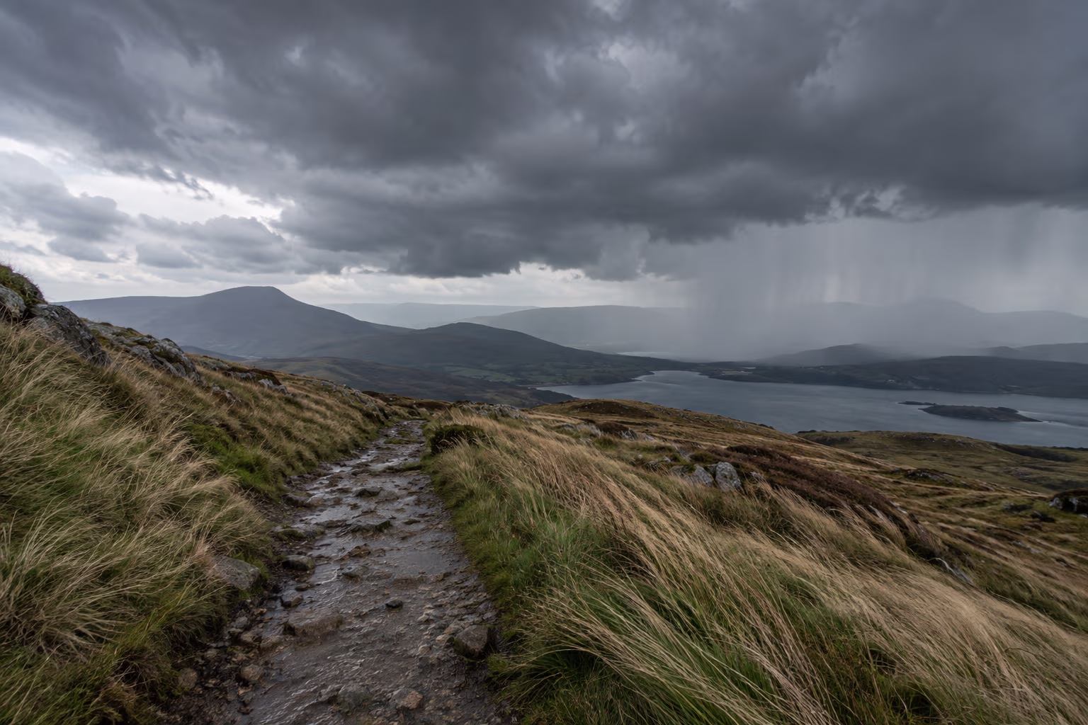 A windswept path beneath low storm clouds and distant rain.