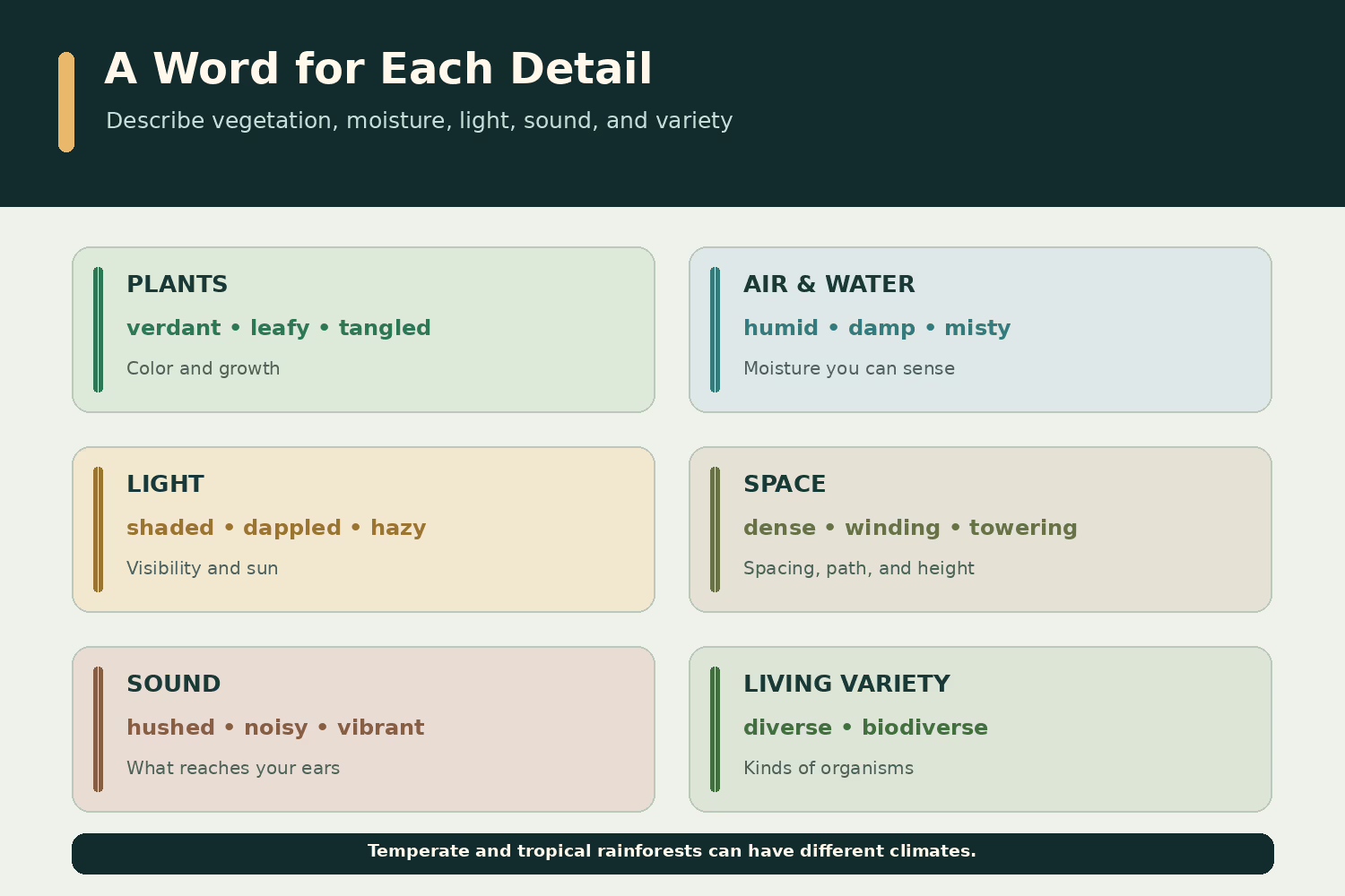 Rainforest description guide grouping useful adjectives by vegetation, air and water, light, sound, and ecological variety.